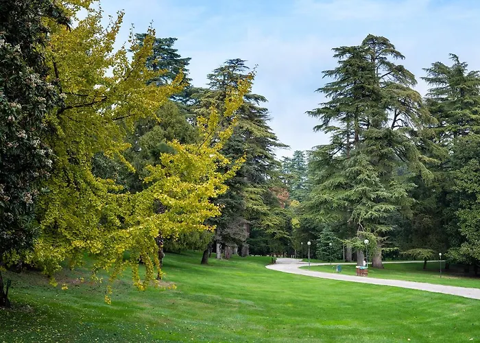 Parco Termale Di Dei Cedri 4* Lazise