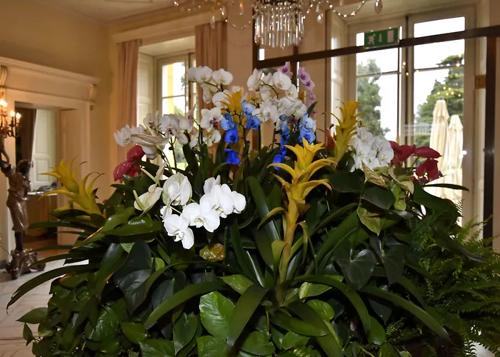 Parco Termale Di Dei Cedri Hotel Lazise