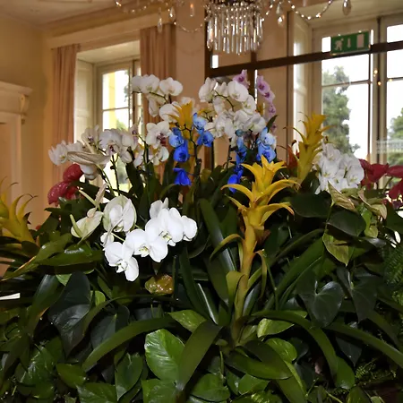 Parco Termale Di Dei Cedri Hotel Lazise