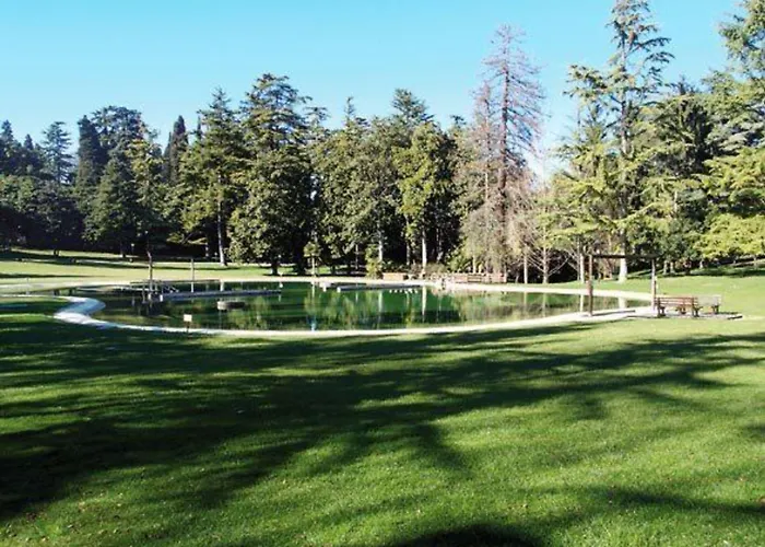 Parco Termale Di Dei Cedri מלון