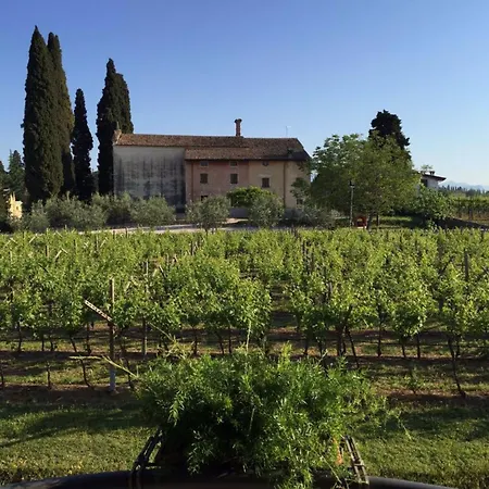 Parco Termale Di Dei Cedri 4*